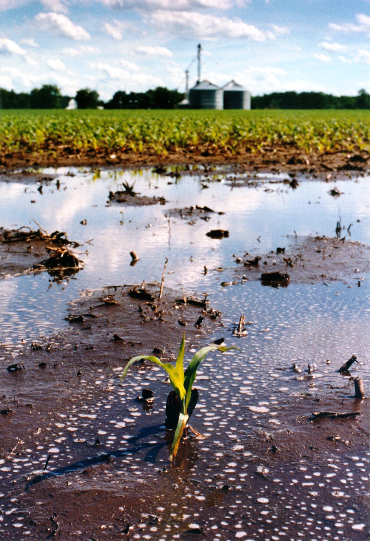 19930626 -- Flood of 1993